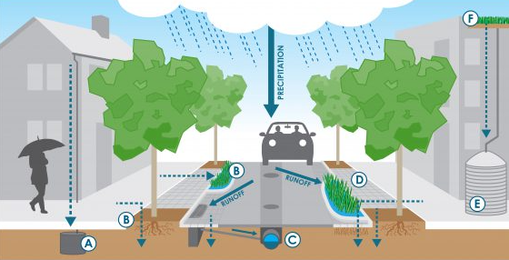Stormwater Runoff