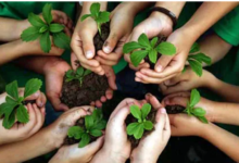 Environmental Projects
