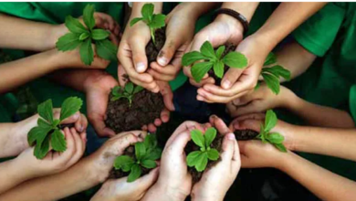 Environmental Projects