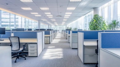 How Cubicles Create Structure and Privacy in Open Spaces