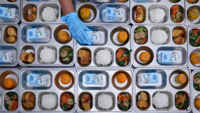 Health Agency Confirms No Severe Cases After 426 Students Fall Ill with Diarrhea