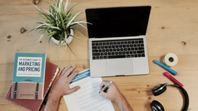 Tips and Resources for Cannabis Success: A Guide for Producers